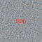 B20